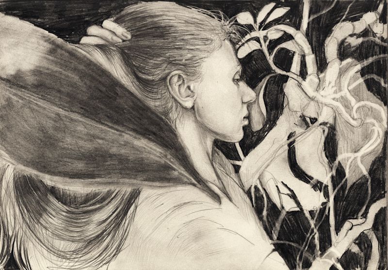 signature/автопортрет с фикусом и монстерой