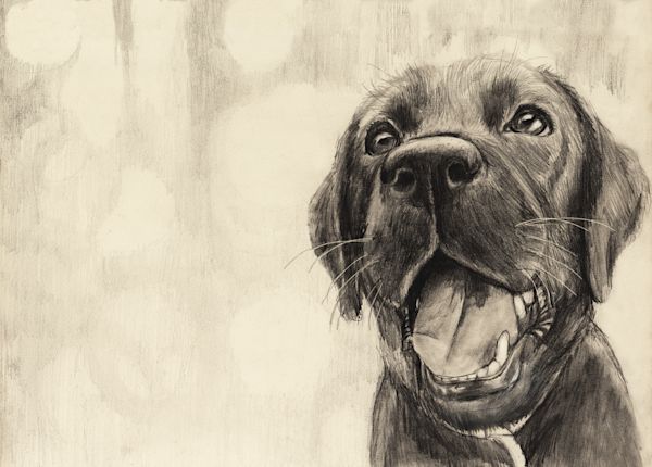 The Faithful Companion