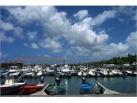 thrifty-sainte-marie