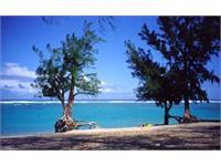 thrifty-saint-gilles