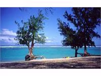 thrifty-saint-gilles