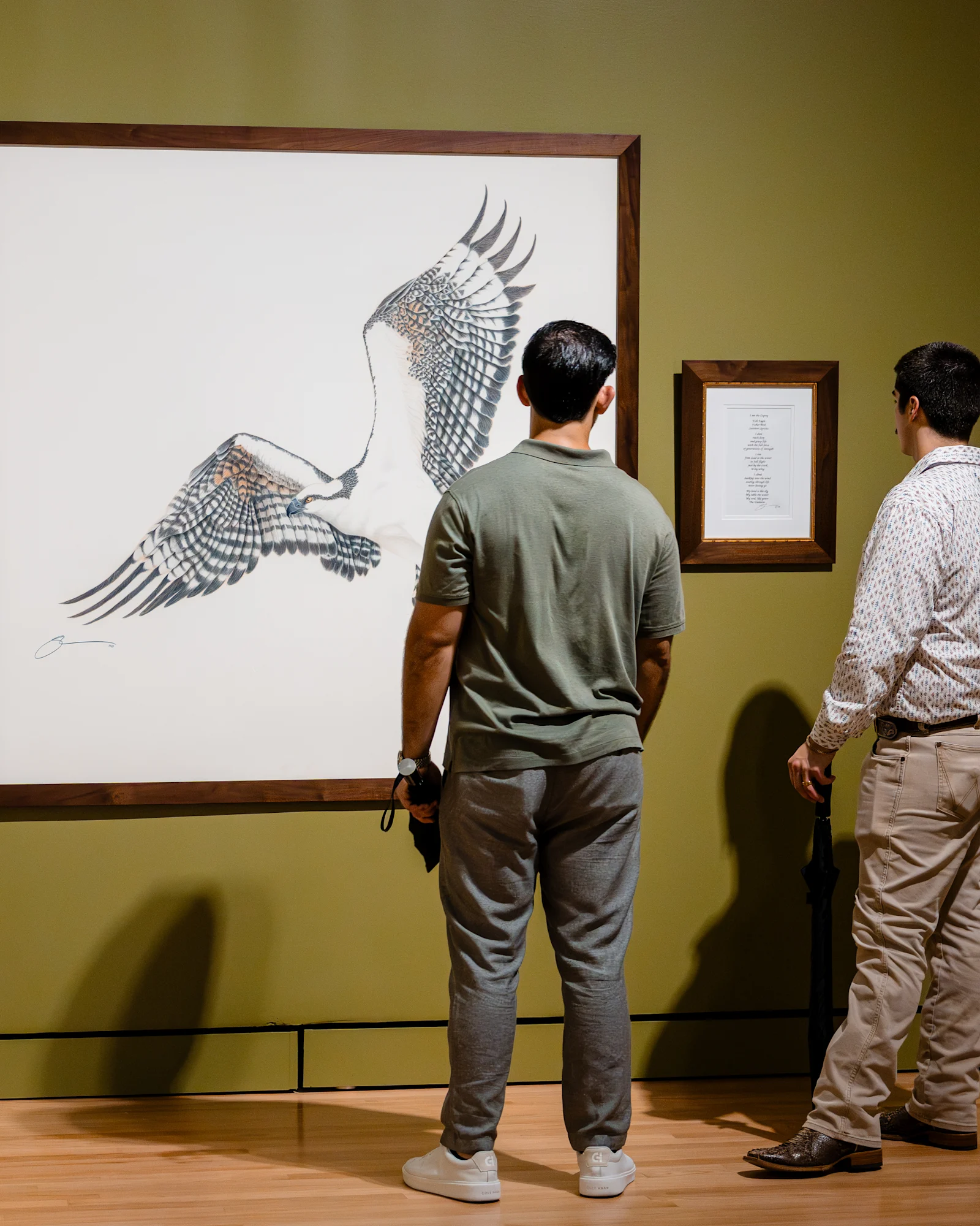 The Art of Birdwatching with Susan Morrison