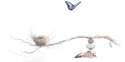 Susan Theroff