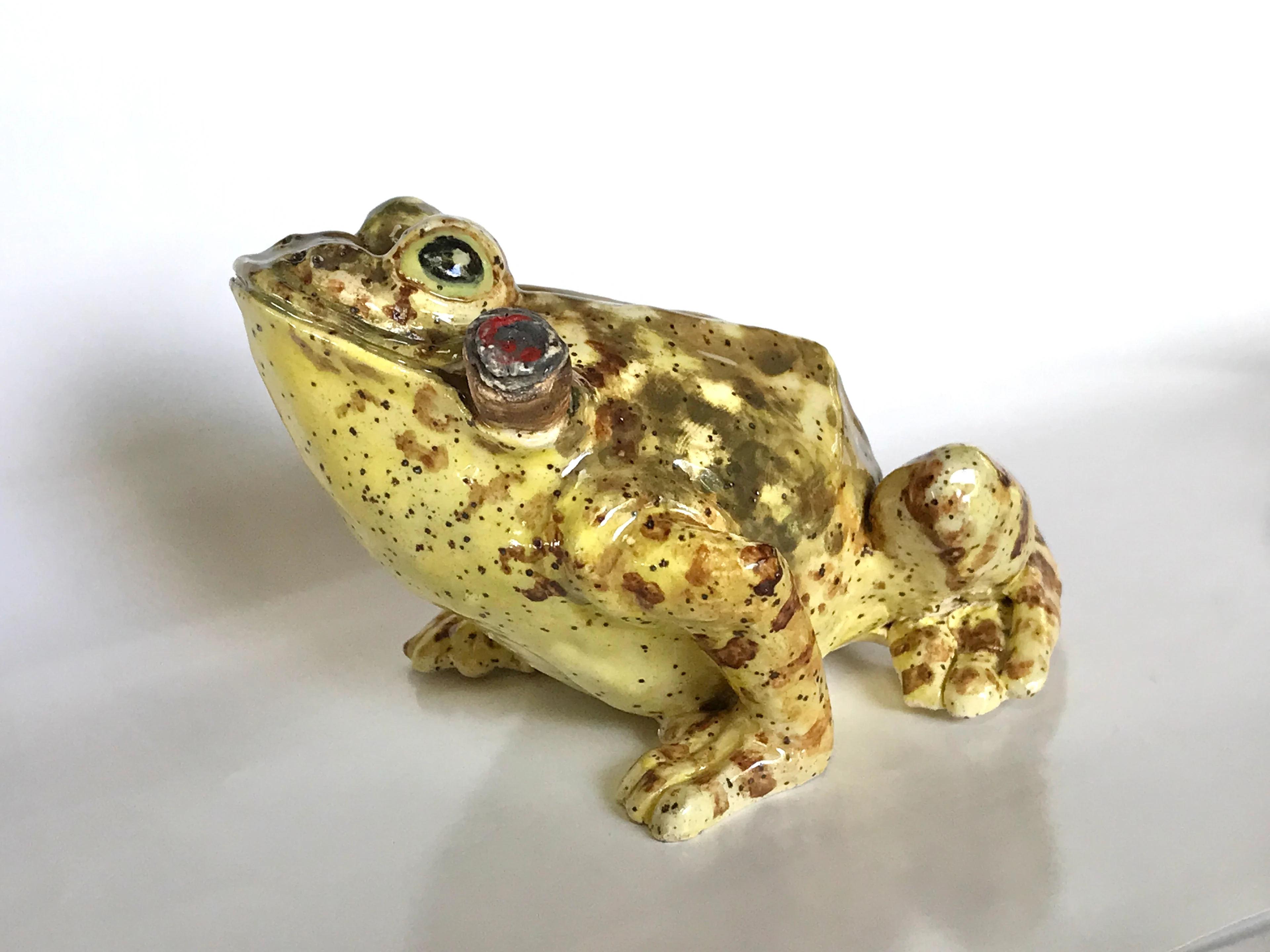 Joyce Haynes, Frog