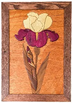 Kristy Cotner 