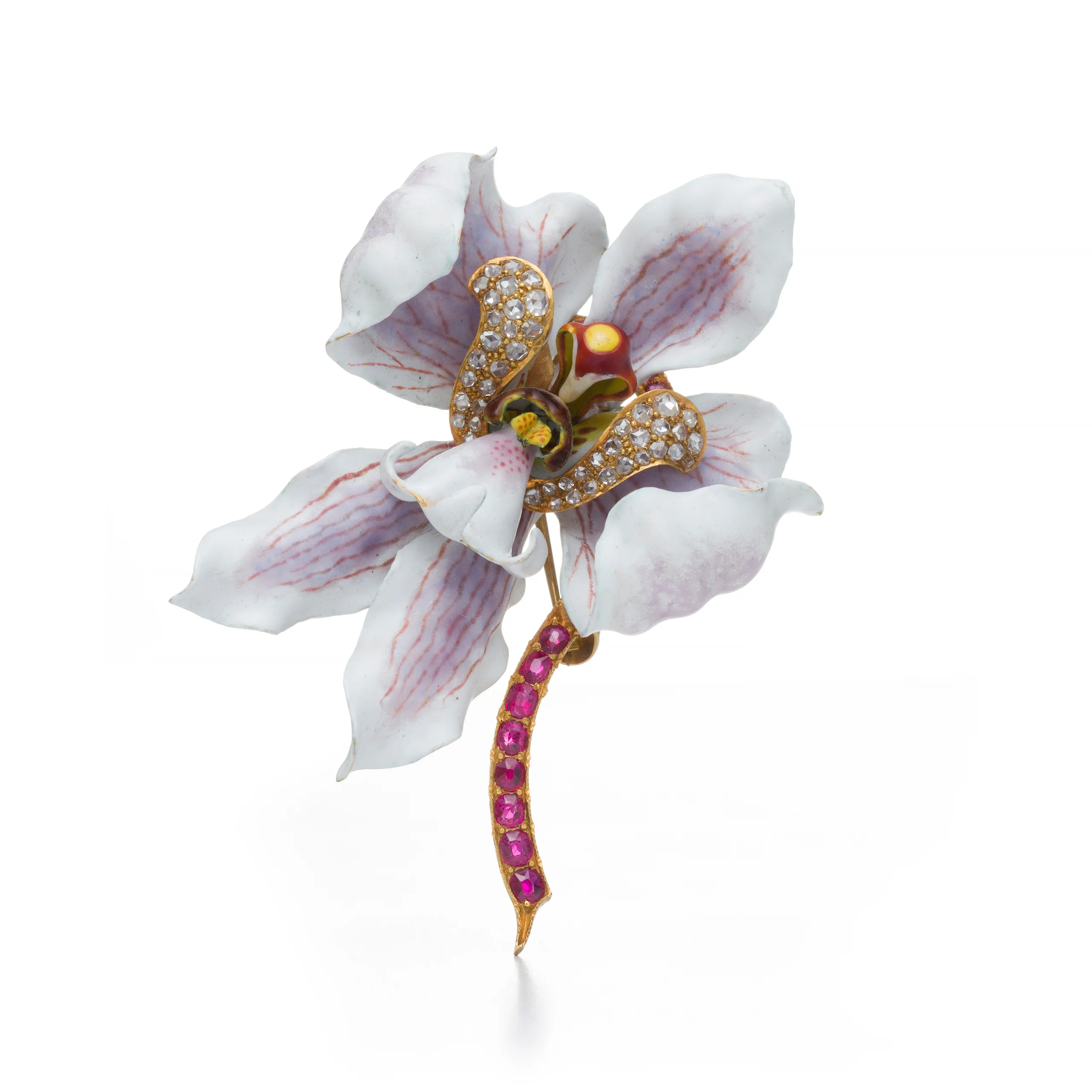 Nature Adorned: The Artistry of Tiffany & Co. and the American Imagination