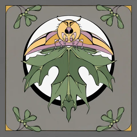 Maple-moth