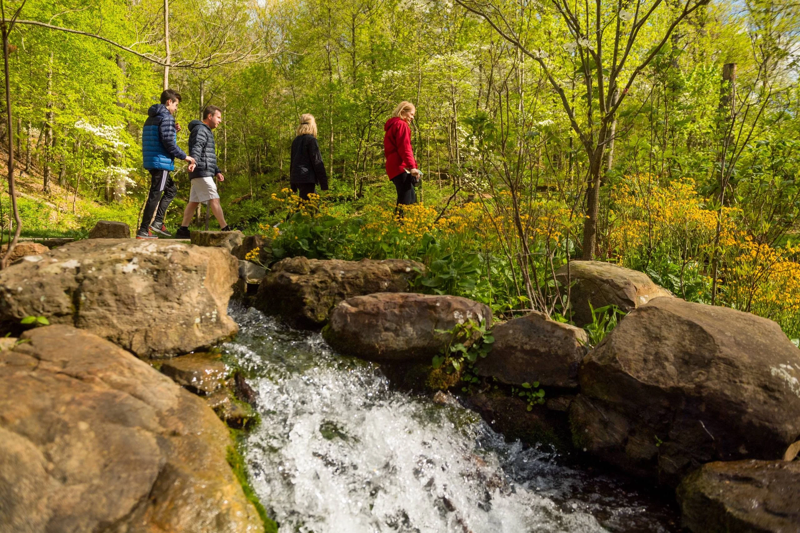 Nature & Nurture: Forest Bathing with Ozark Forest Therapy