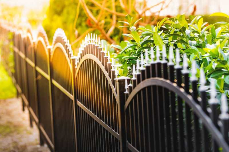 Iron and Wood Fences