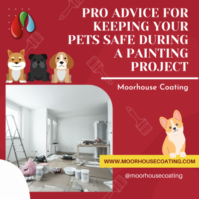Pro Advice For Keeping Your Pets Safe During A Painting Project
