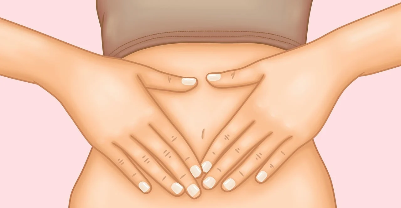 stomach