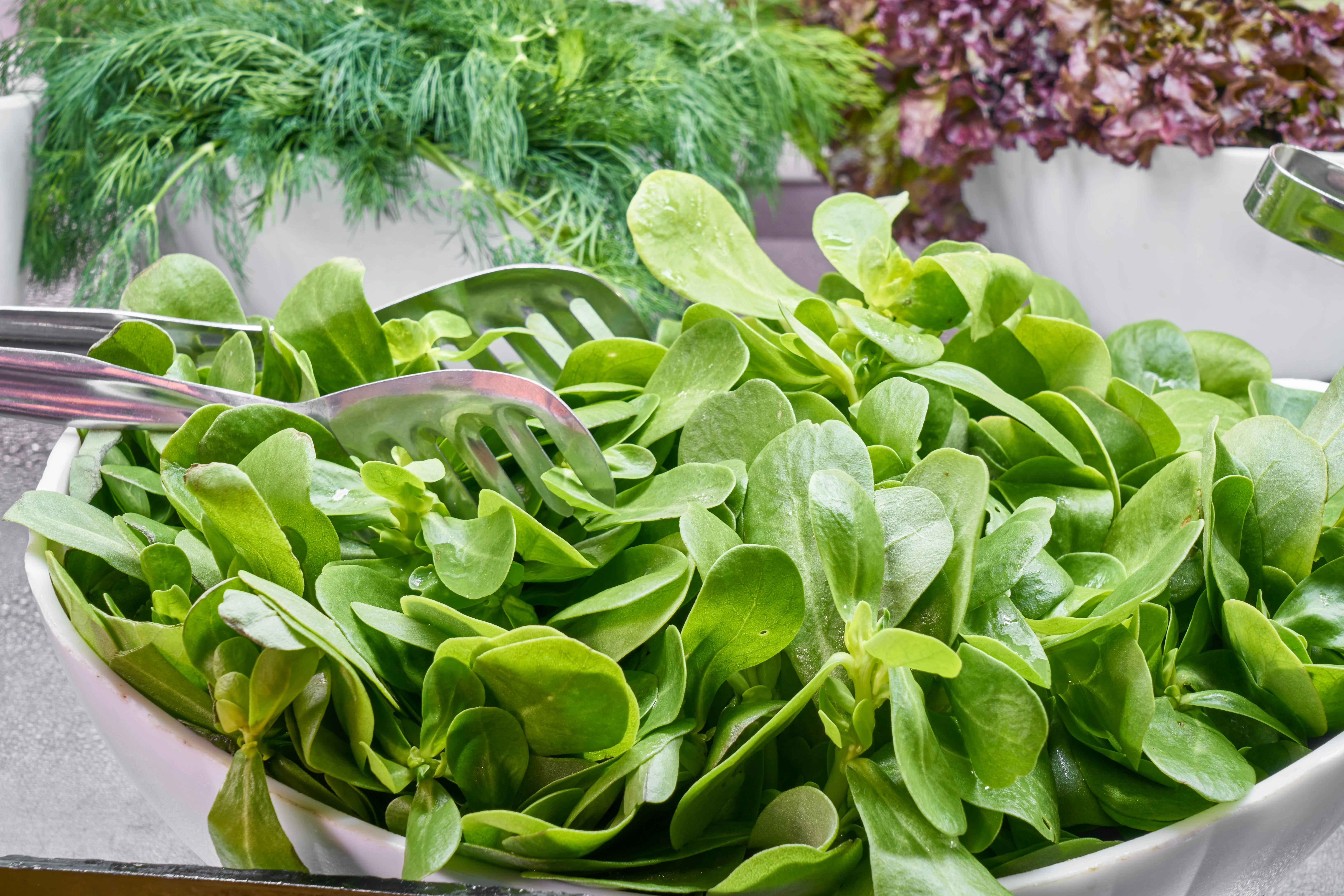 spinach palak iron rich food for increasing hemoglobin naturally