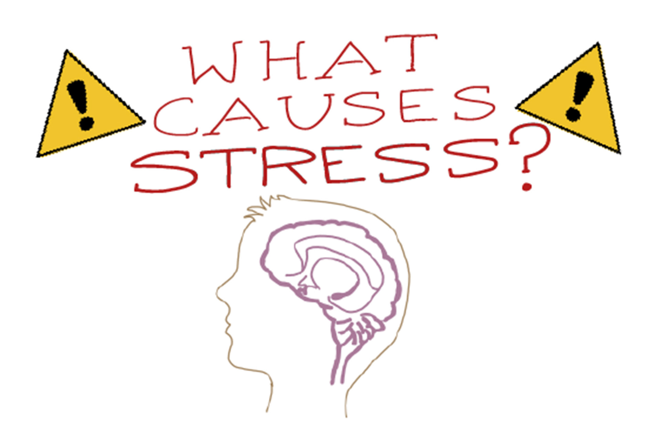 What Is Stress and How Does It Affect Daily Life?
