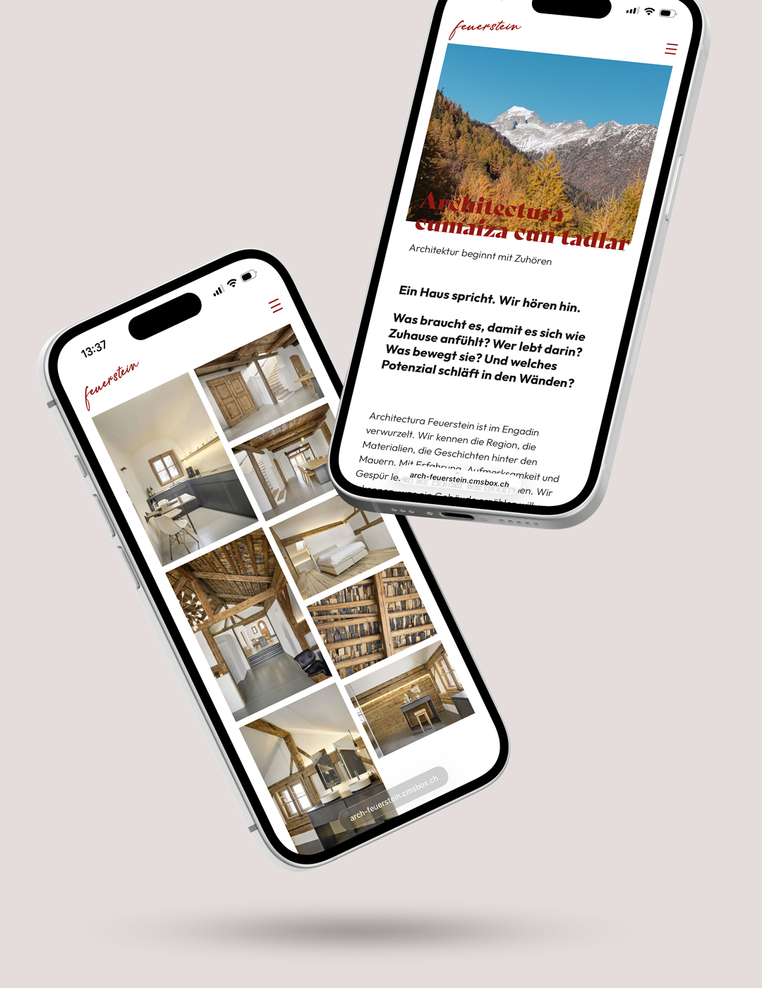 Feuerstein web front hoch