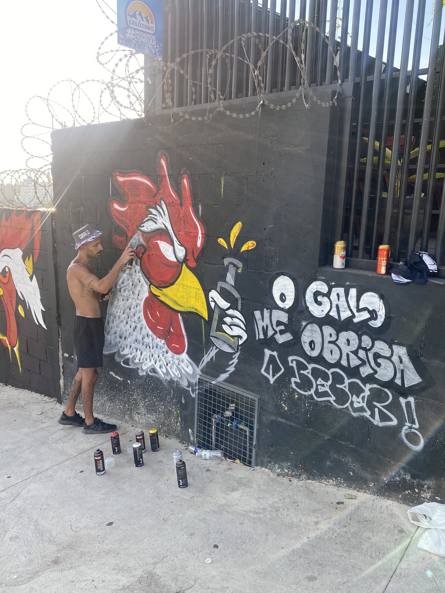 galo grafite 1