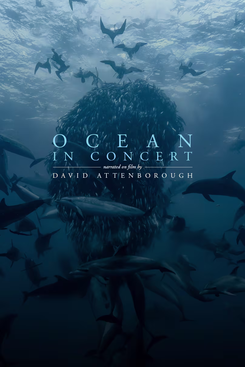 Ocean in Concert