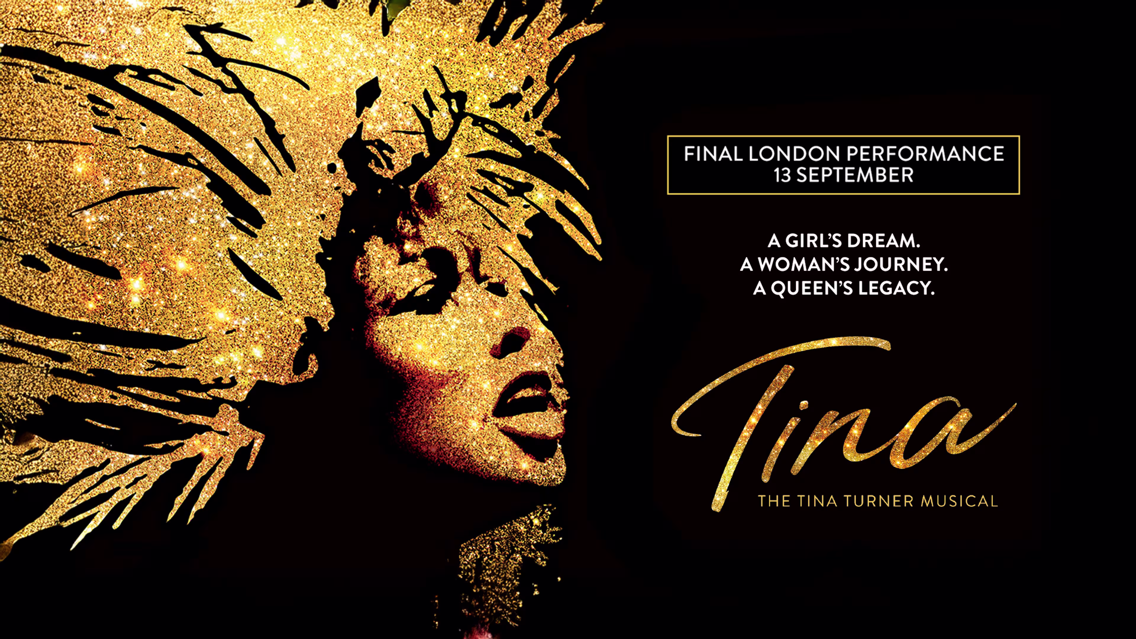 Tina Turner 3840x2160 stageM