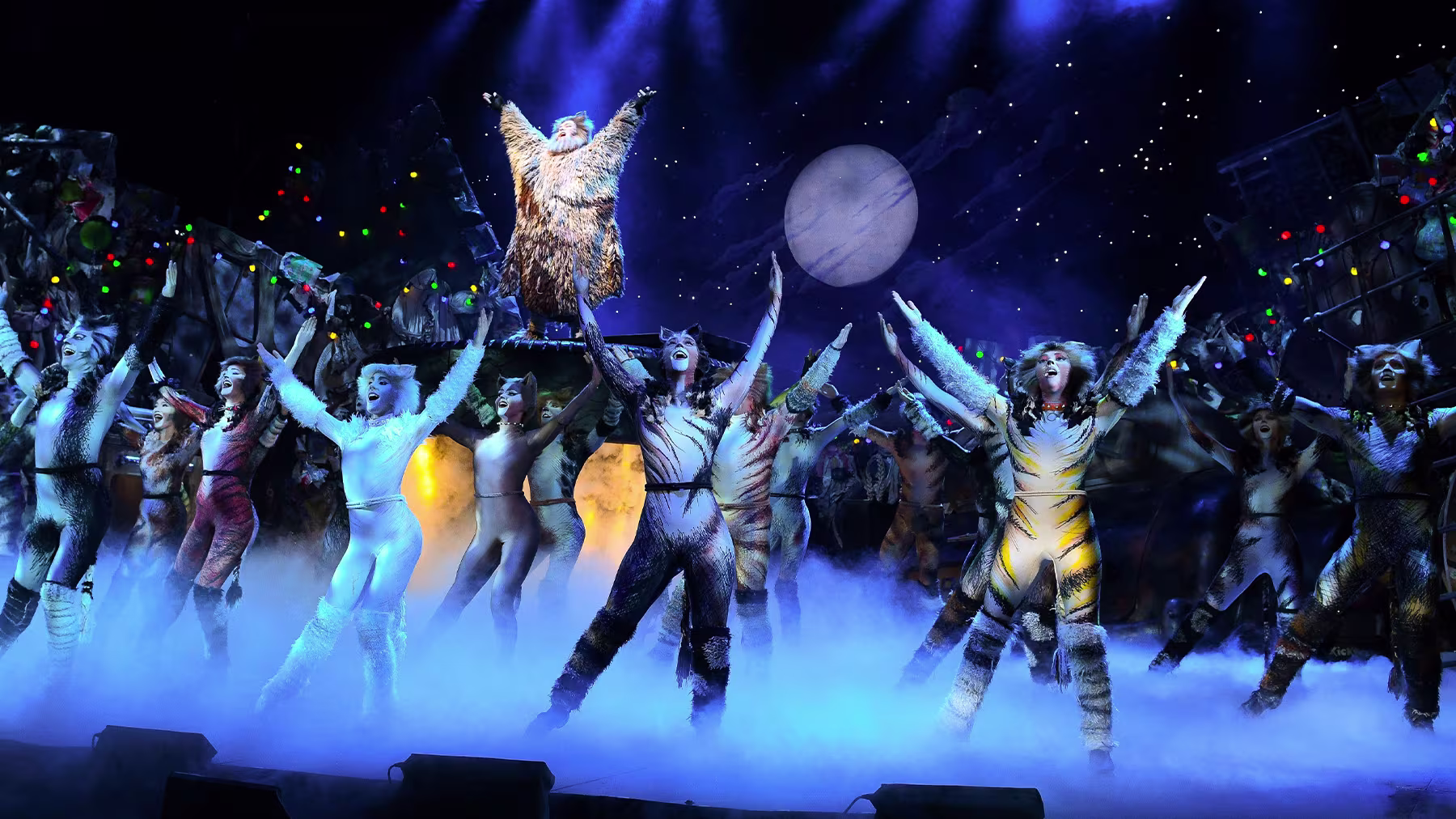 Ein Foto aus Cats dem Musical