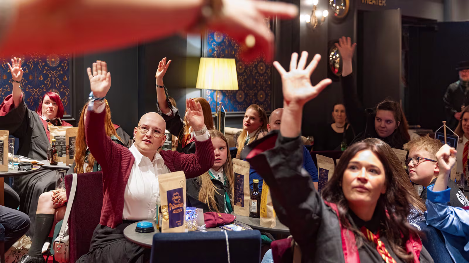 Harry Potter Hamburg Fan Q&A, Menschen und Besucher*innen heben die Hand