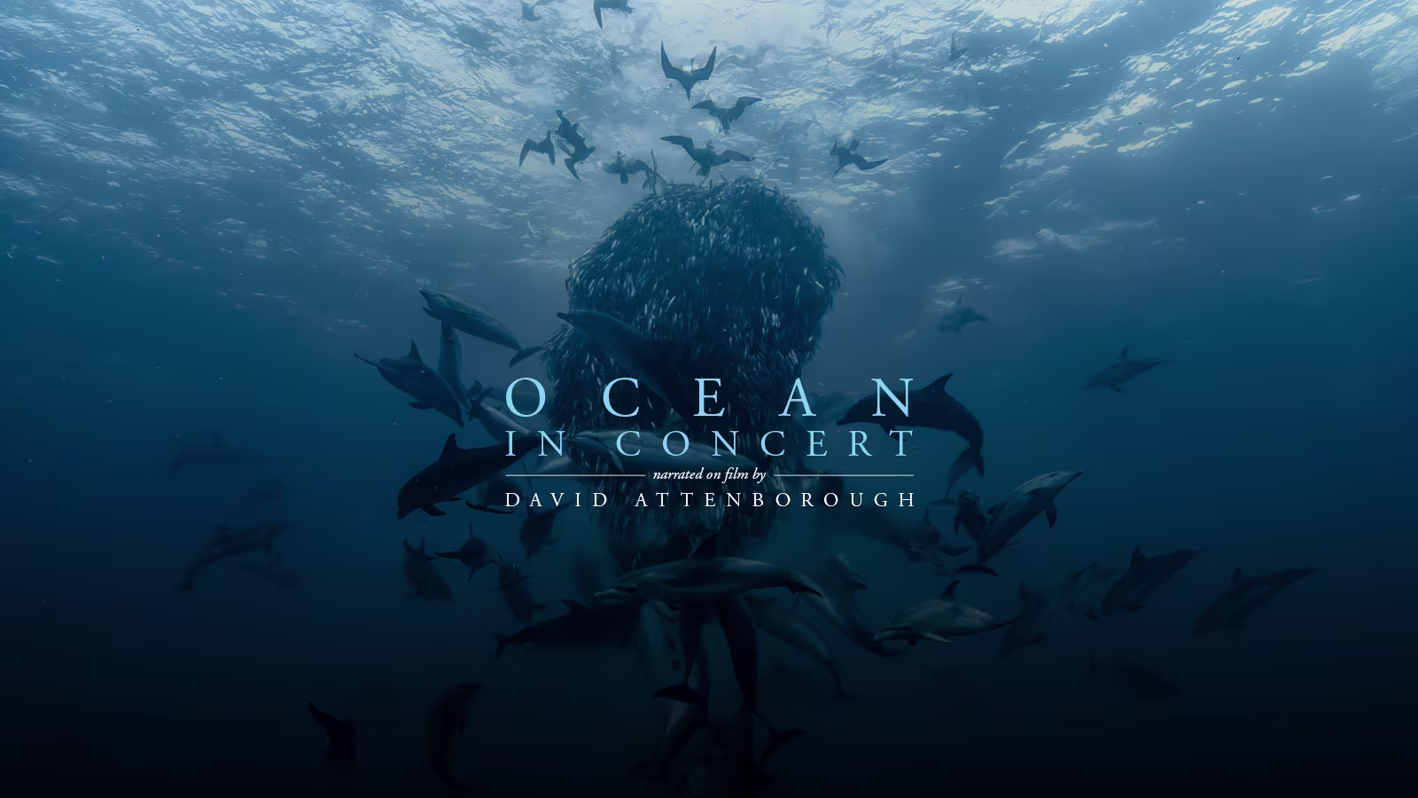 Ocean in Concert Unterwasserwelt