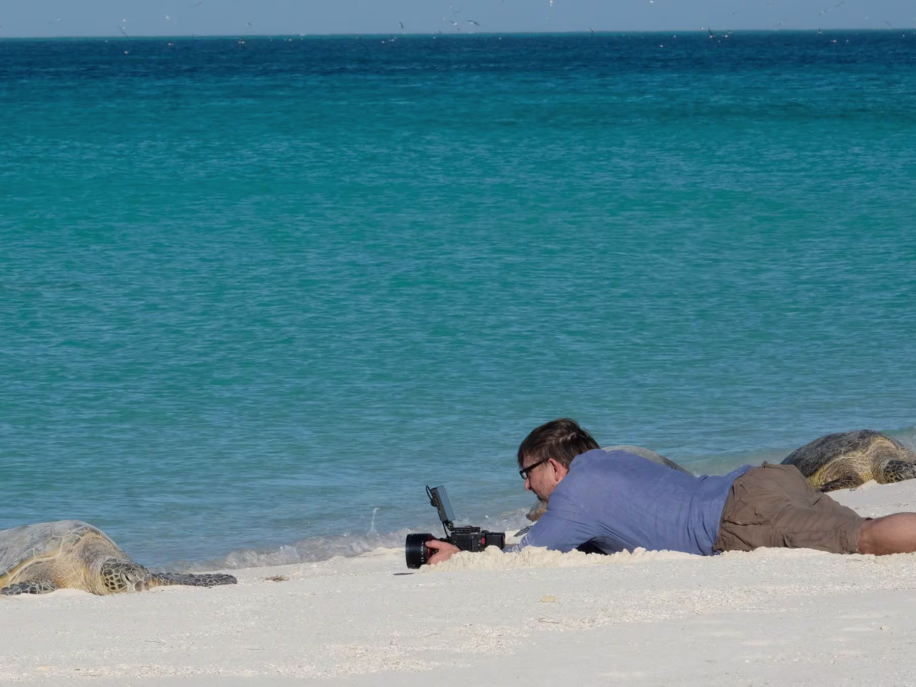 Ocean in Concert: Mann liegt am Strand und macht Aufnahmen von Schildröten