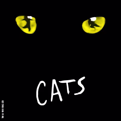 cats-presse-downloadteaser-400x400-2025