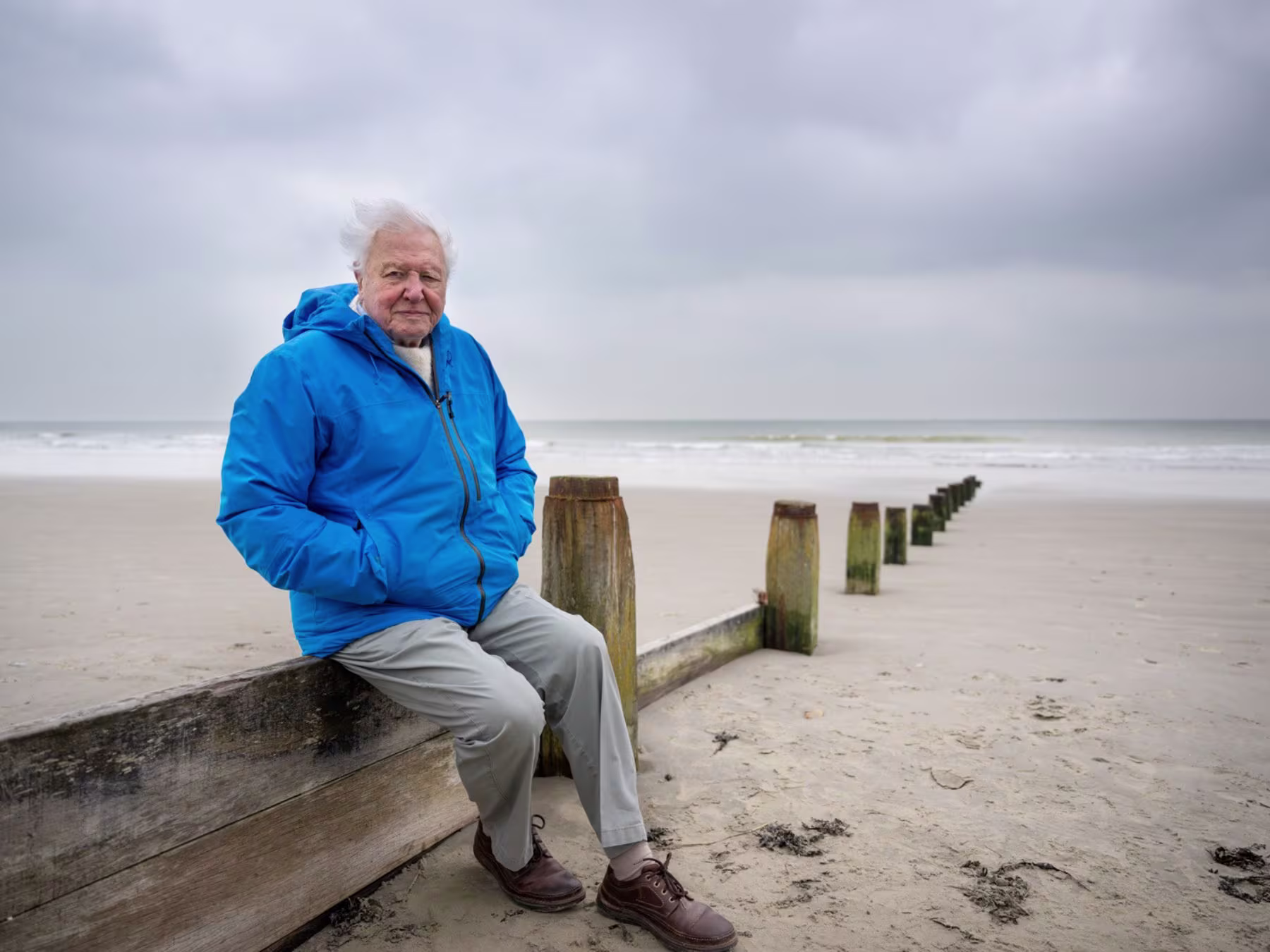 Ocean in Concert David Attenborough am Strand