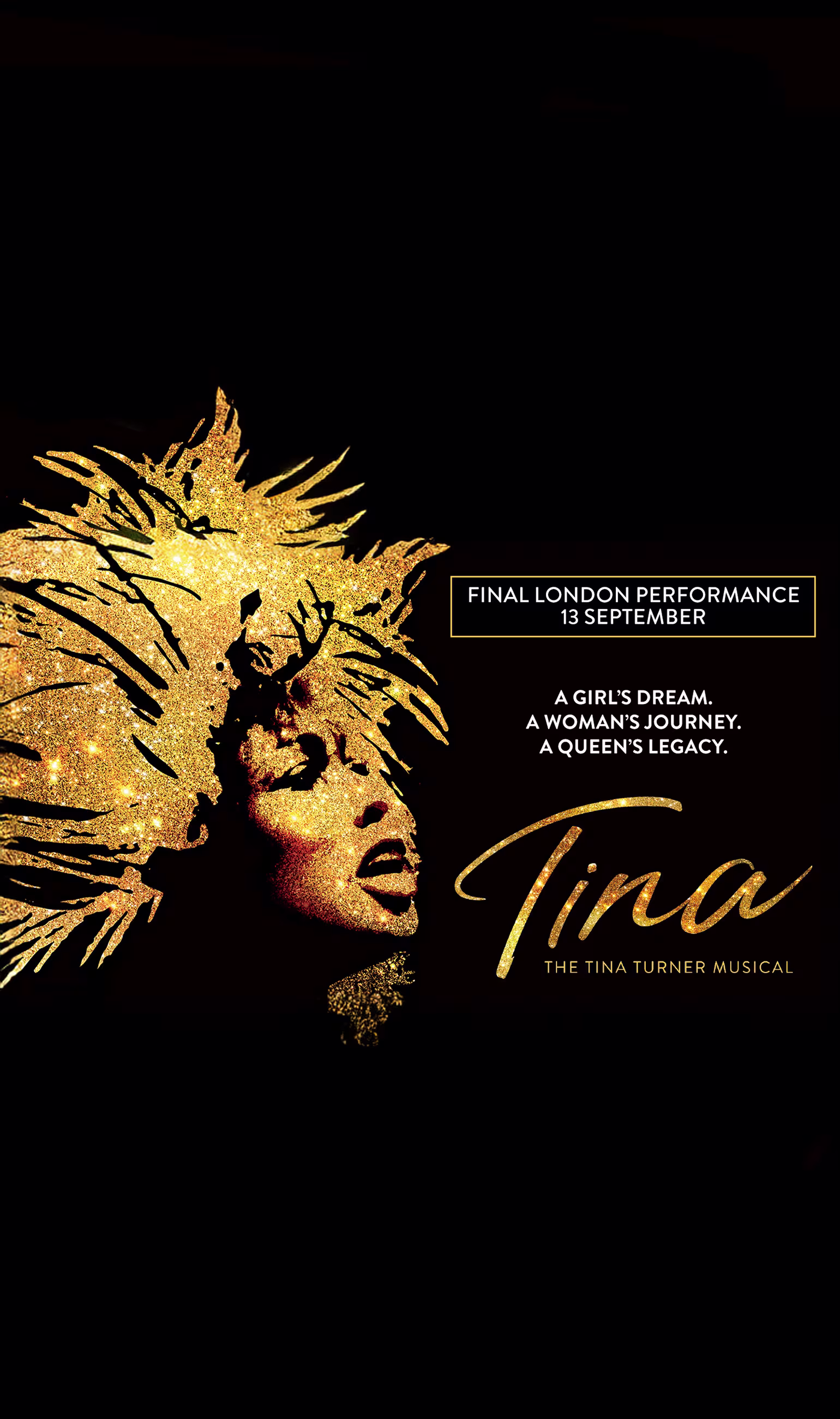 Tina Turner 3840x2160 stageM mobil