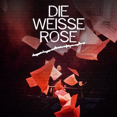 Die weiße Rose Keyvisual mit schwarzem Hintergrund und weißer Schrift und roten Rosenblättern, die fliegen