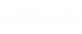 Logo von Kapten & Son