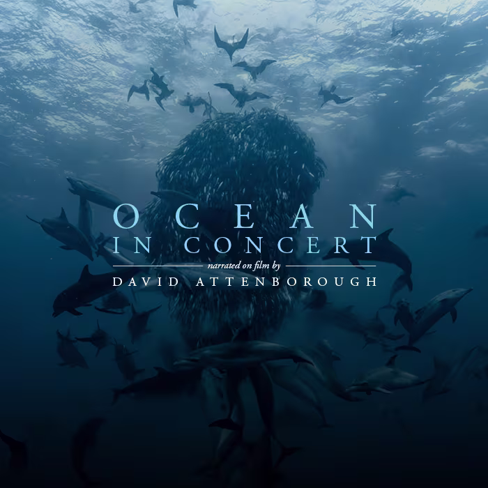 Ocean in Concert