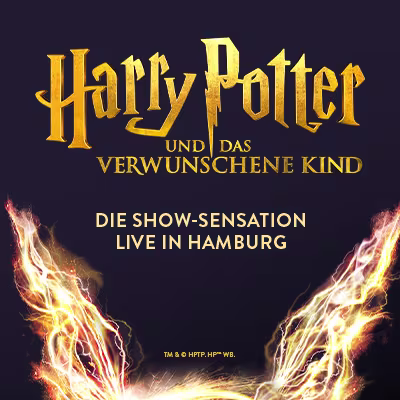 Harry-Potter-Keyvisual-Presse-Downloadteaser-400x400-2025