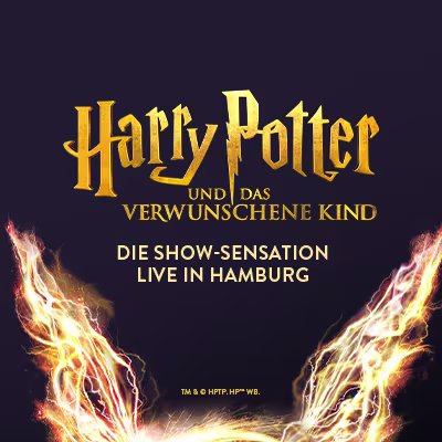Harry-Potter-Keyvisual-Presse-Downloadteaser-400x400-2025