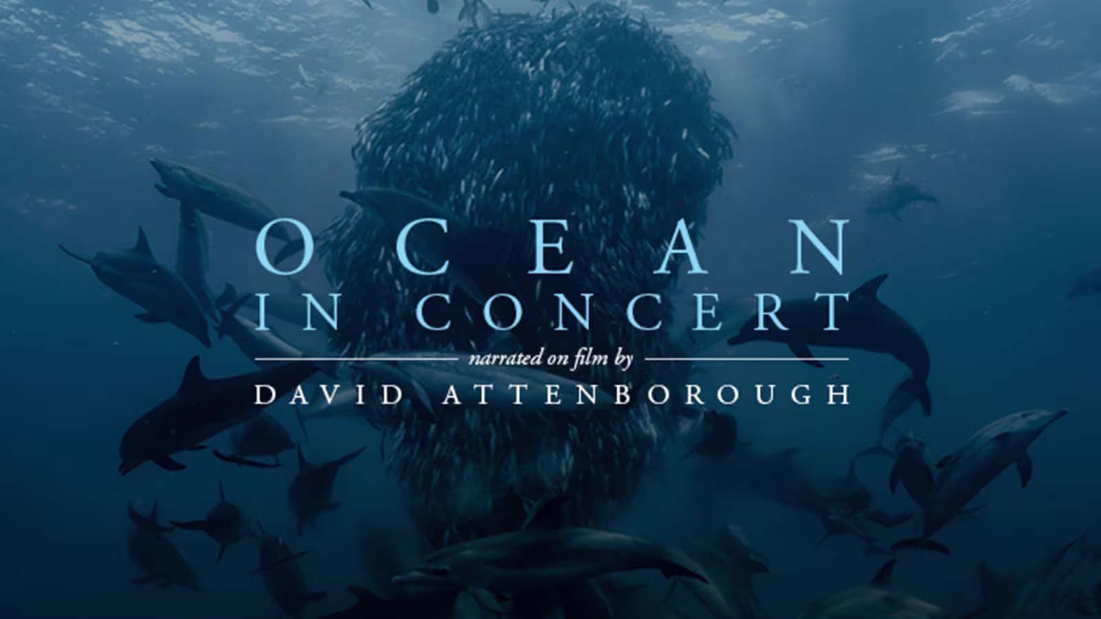 Ocean in Concert Unterwasserwelt