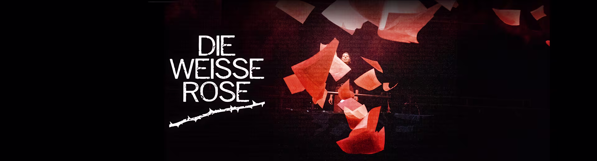 Die weiße Rose Keyvisual mit schwarzem Hintergrund und weißer Schrift und roten Rosenblättern, die fliegen