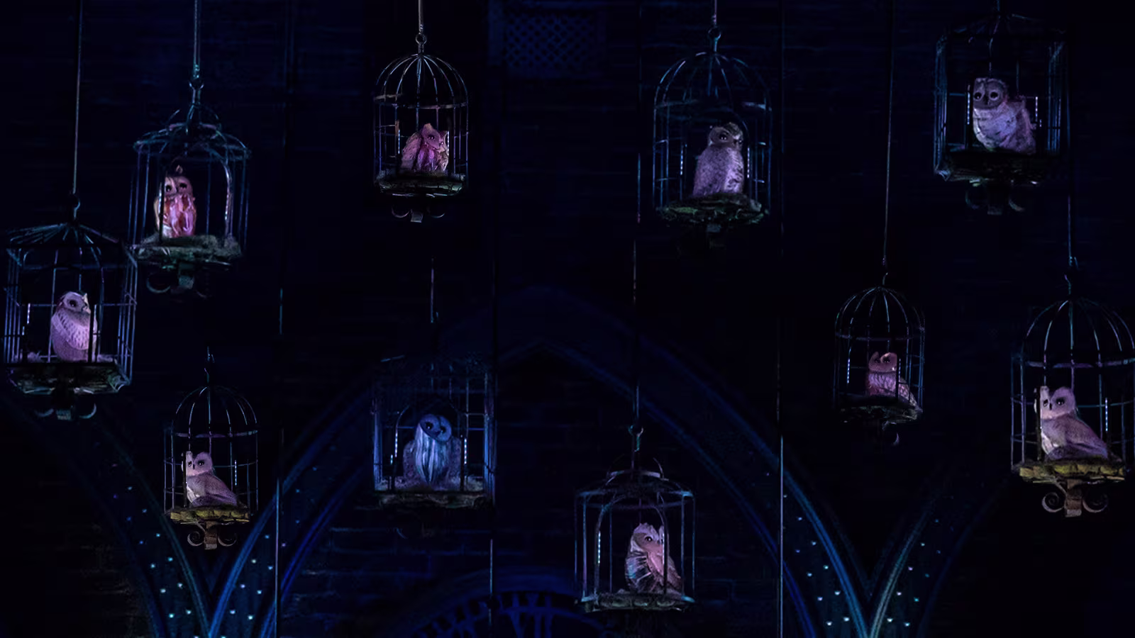 Das Bild zeigt eine Szene aus dem Harry-Potter-Musical mit mehreren Eulen, die in Käfigen hängen, vor einem dunklen, atmosphärischen Hintergrund.