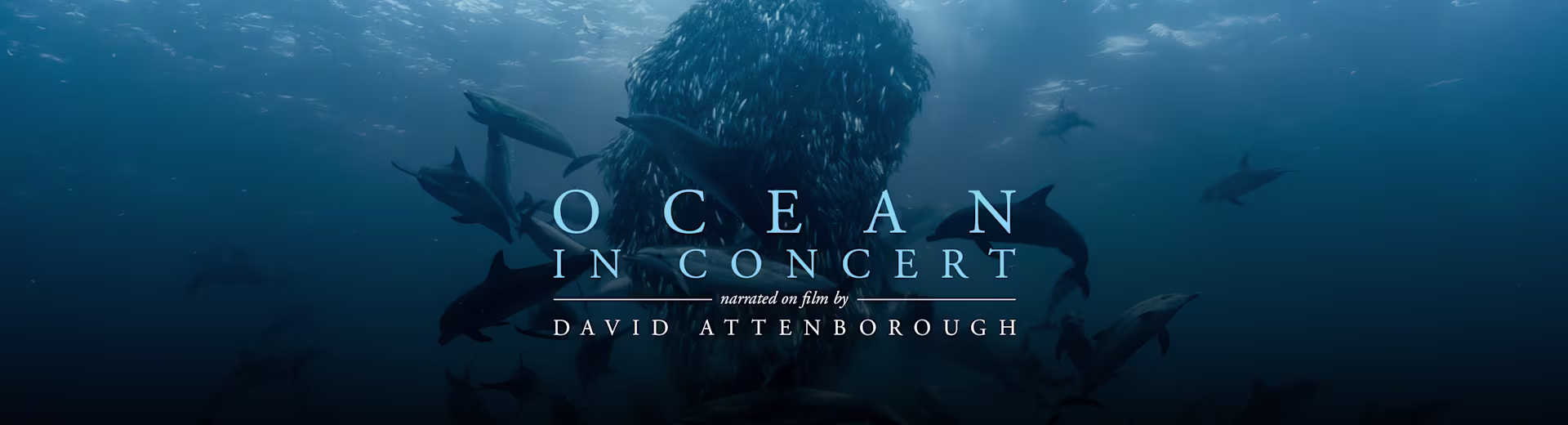 Ocean in Concert Unterwasserwelt