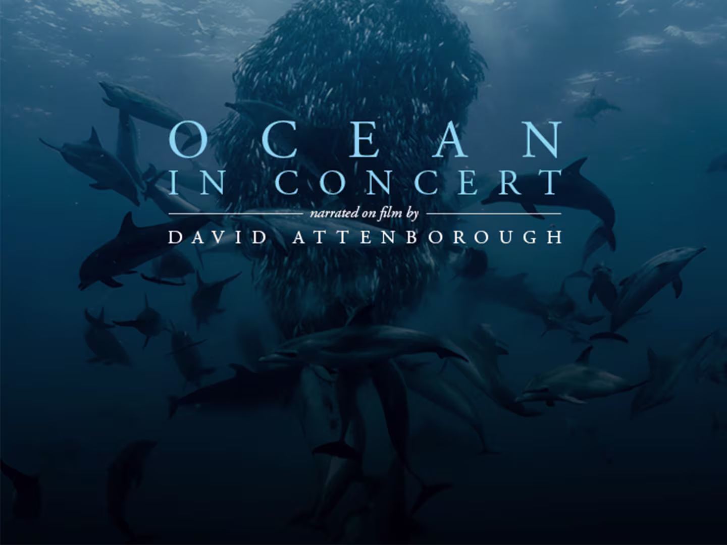 Ocean in Concert Unterwasserwelt