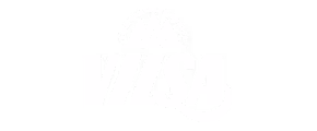 logowall-partner-weiss-290px-2025-vilsa