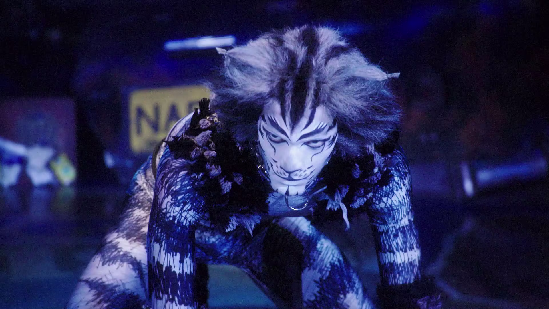cats-trailer-video-1920x1080-2024-youtube-thumb-2024