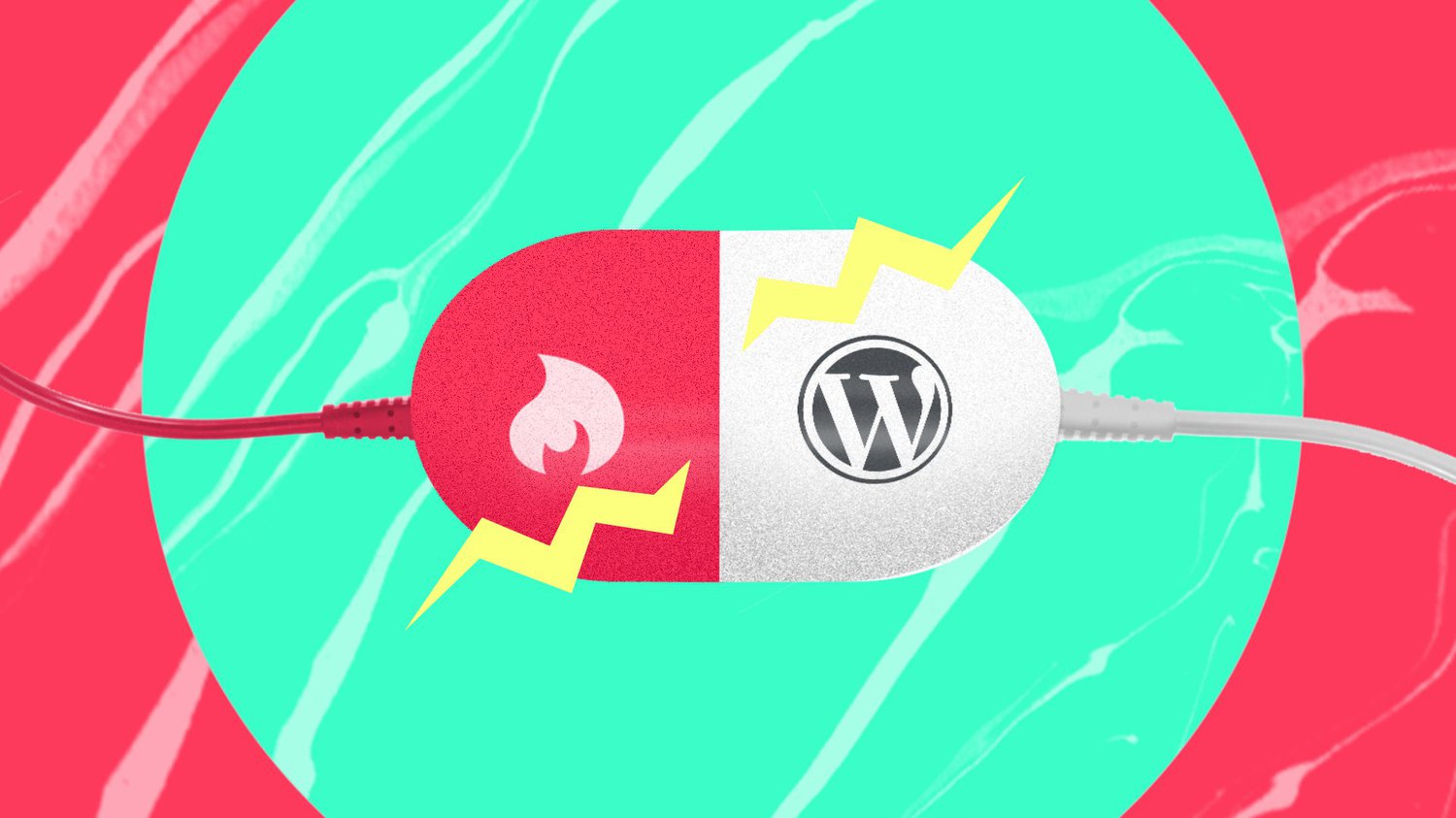 WordPress vs Tumblr (2023) — Which One is The Best?