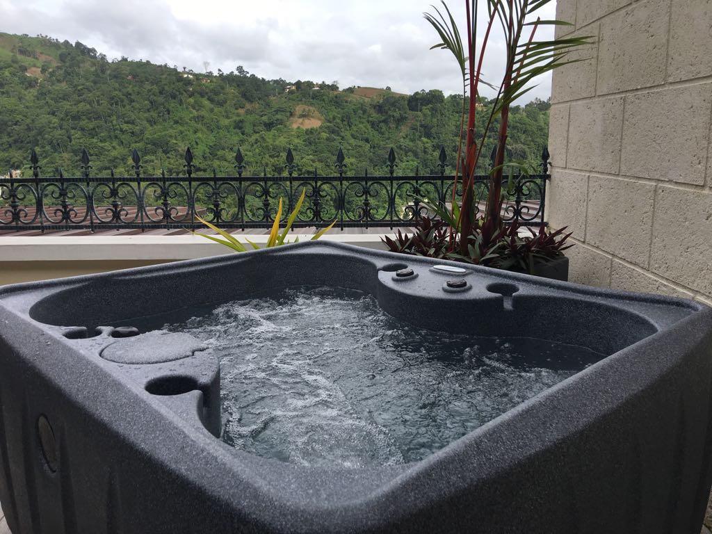 Spend Carnival in Trinidad - Image 6