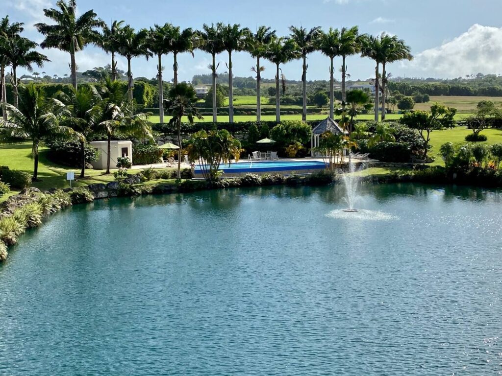 Extended winter stays in Barbados - Image 14