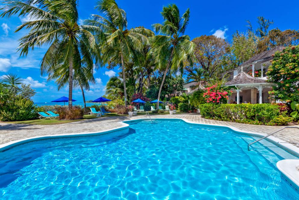 New Years in Barbados - Image 16