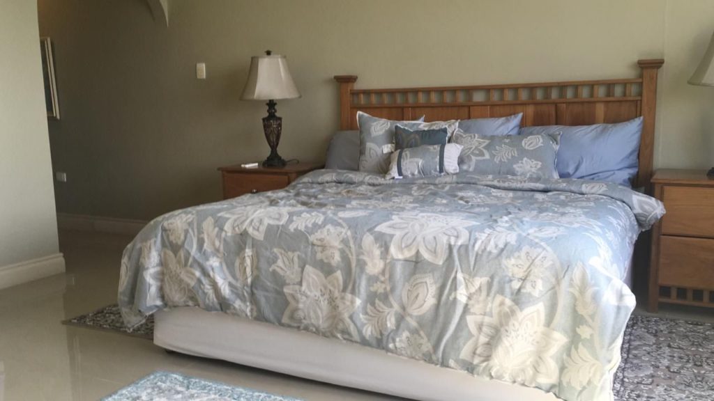 Spend Carnival in Trinidad - Image 3