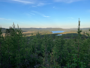 Ny vindkraftsmodell presenteras i Åsele cover image