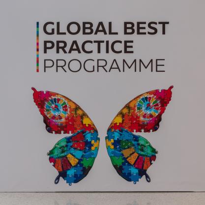 Global Best Practice Programme Guide