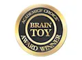 award-brain-toy
