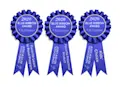 award-blue-ribbon