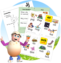bf-program-4